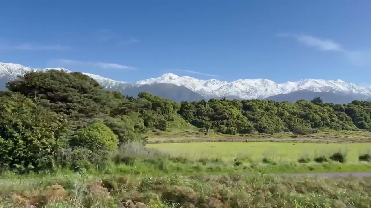 新西兰火车旅行英语指南